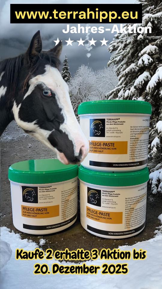 585513645_25087877267506468_7454932250808134338_n