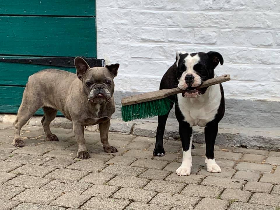 102959727_2999339946786850_8863343377072886807_n