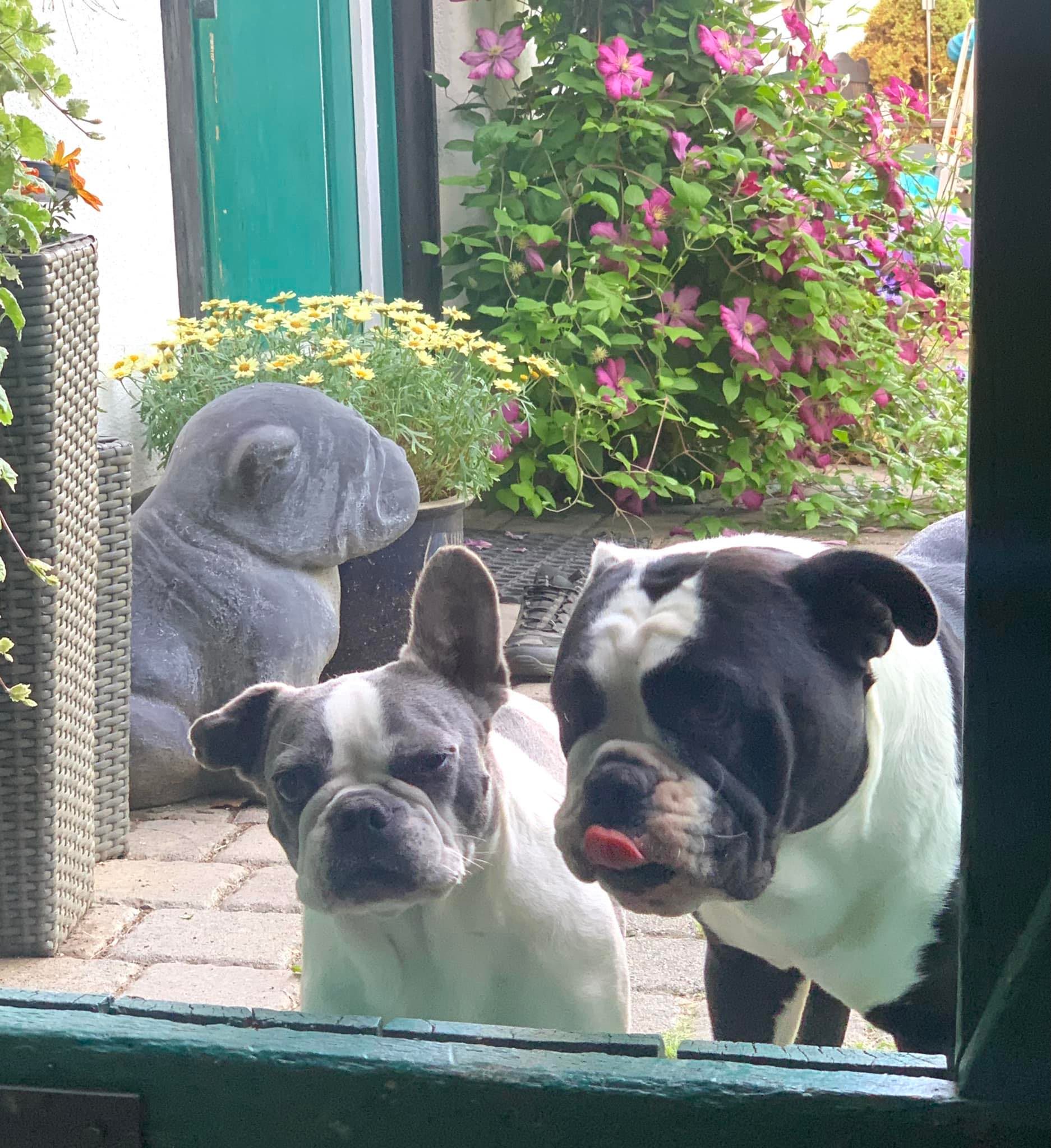 285169713_5137616749625815_8449393337355203780_n